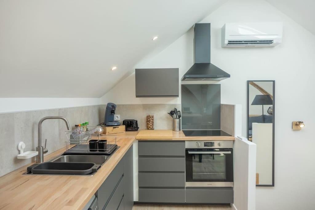 Maison/Appartement Avec Jardin Saint-Denis-en-Val Εξωτερικό φωτογραφία